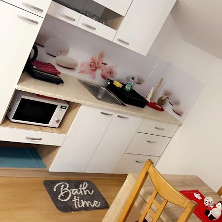 Apartments And Wellness Scavnicar Ljutomer Esterno foto